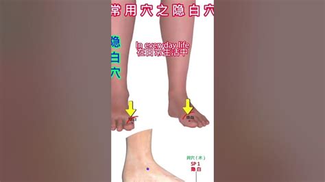 隱白穴控制長壽基因|隱白:名稱釋義,功能作用,定位,解剖,主治,操作,臨床運用,配伍,功效,。